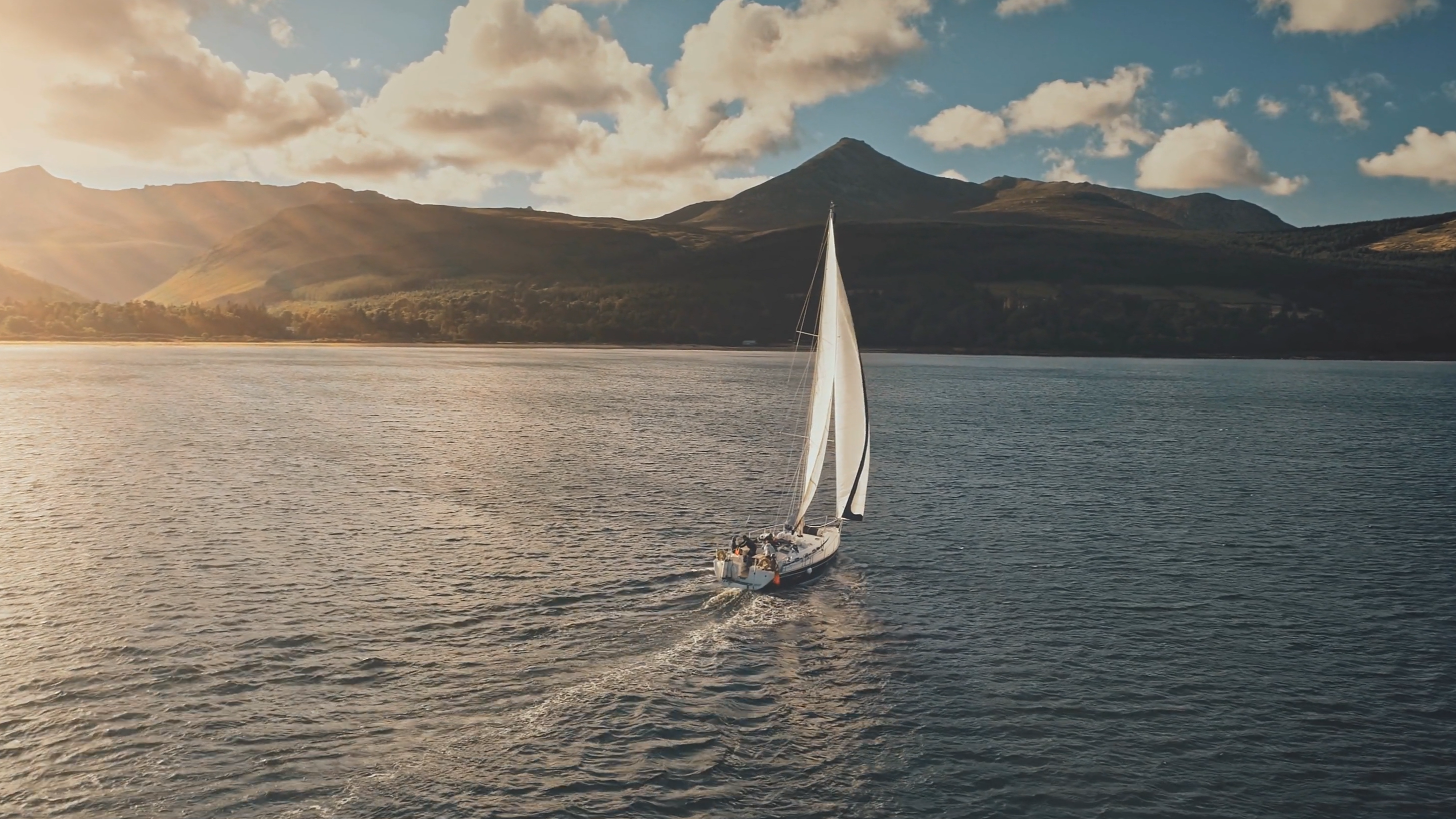 Partnership for test